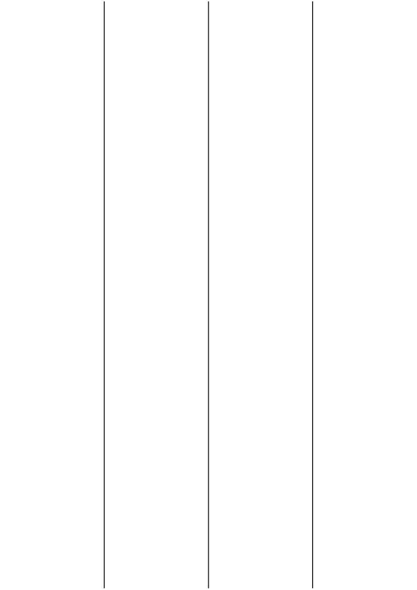 Rectangle labels 295.275mm x 52.5mm - Fluorescent Colours Paper