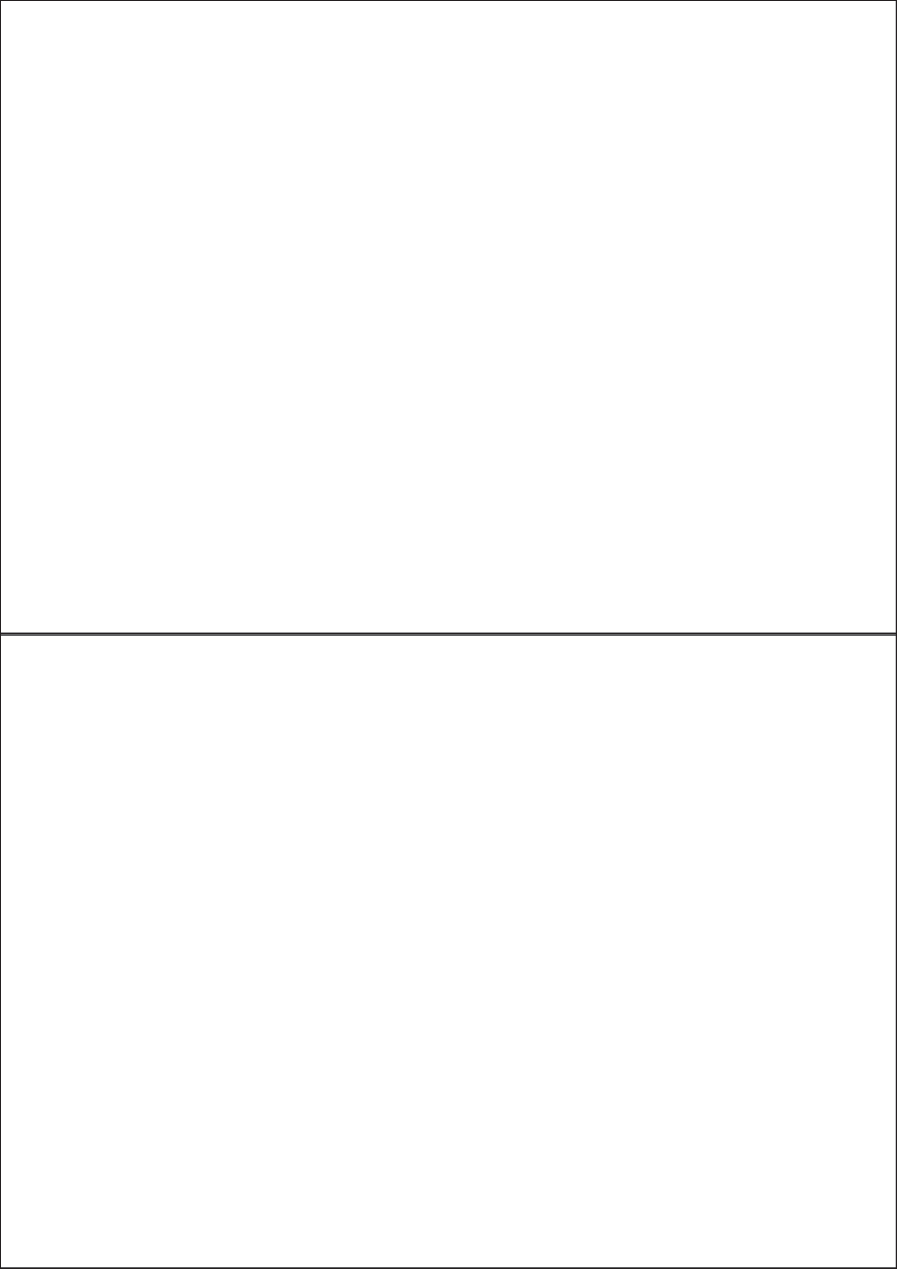 210mm x 147.6mm - Fluorescent Economy Labels 331-02 210mm x 147.6mm - Fluorescent Economy Labels 331-02