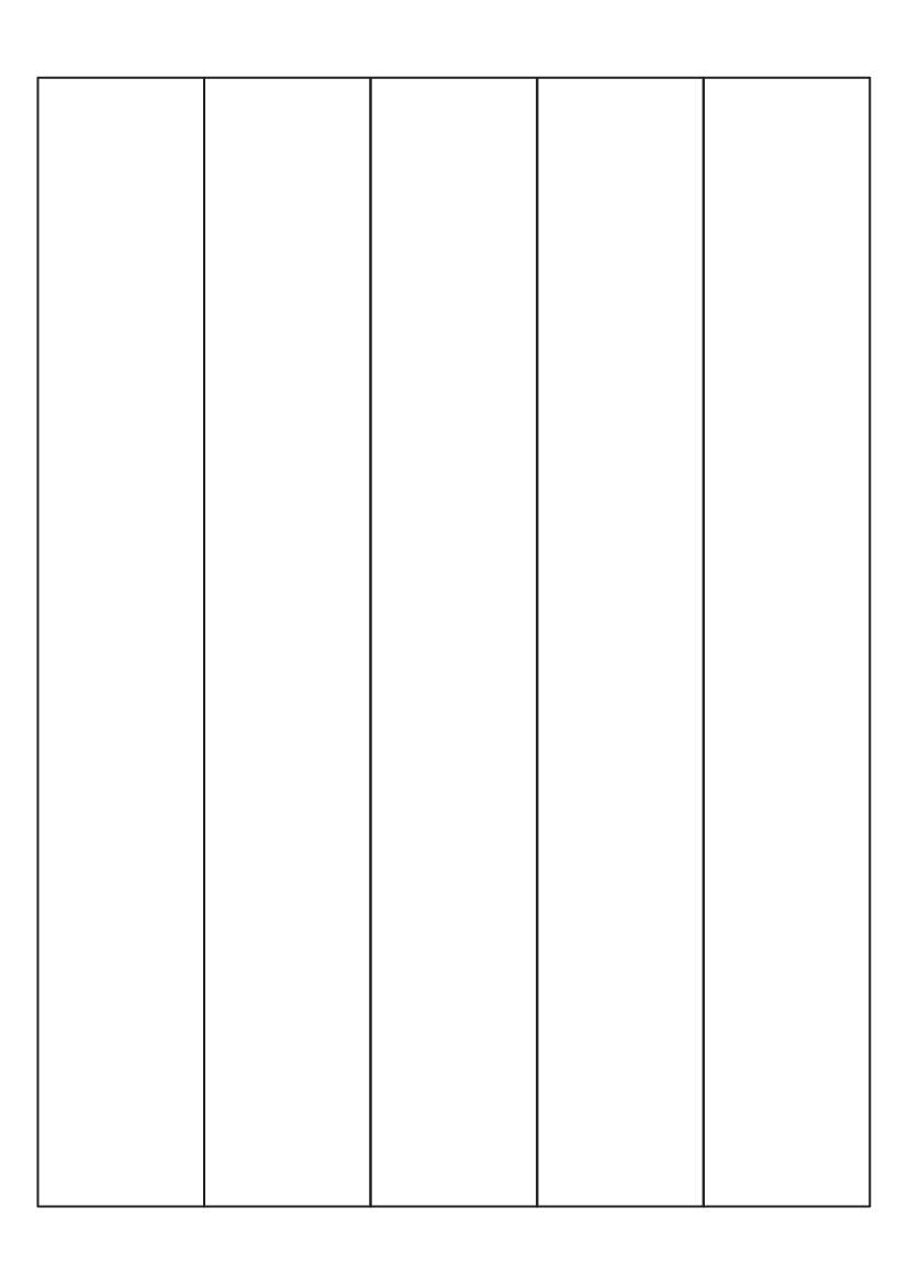 Rectangle Labels 261mm x 38.5mm - Speciality Paper Labels
