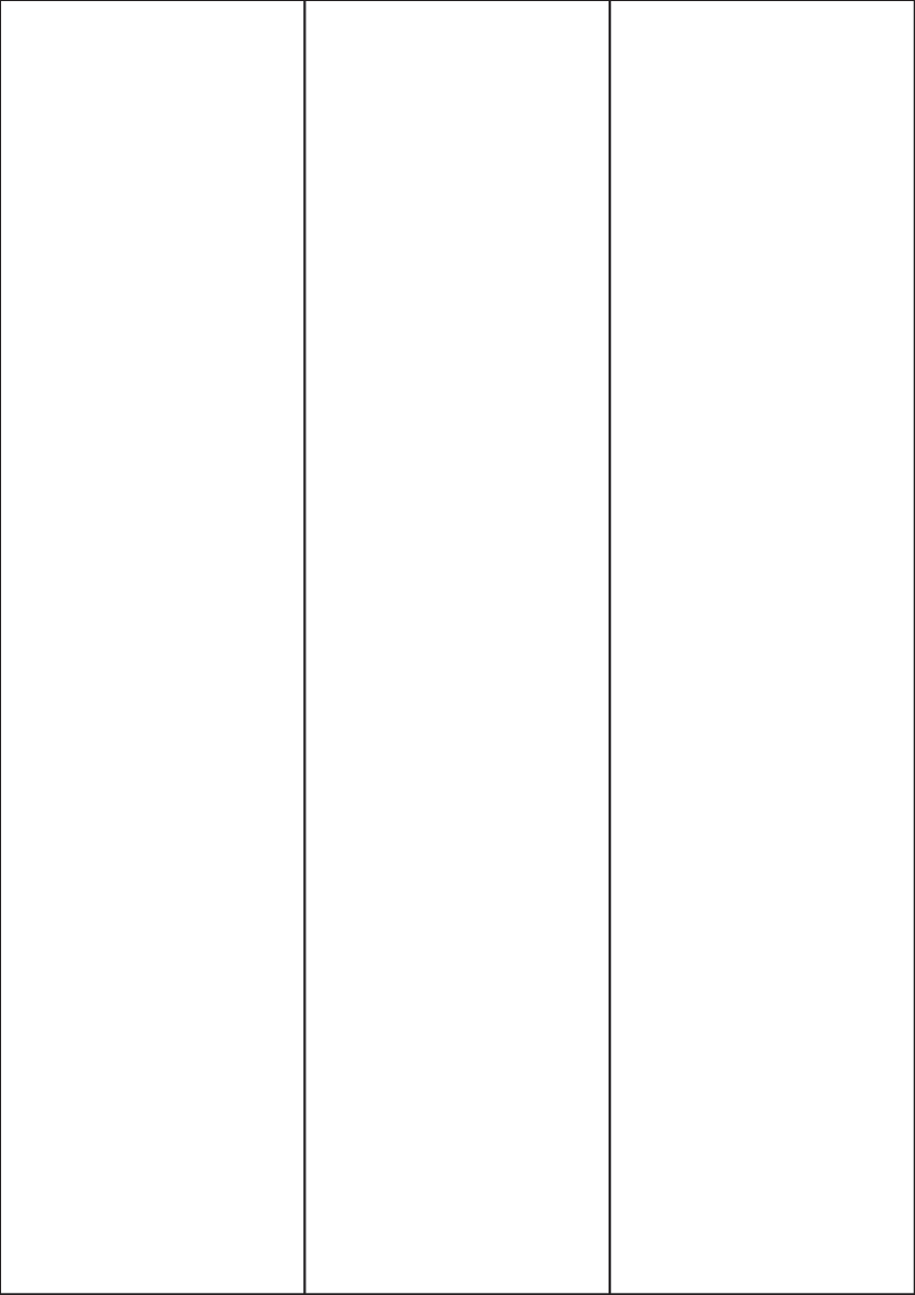 Rectangle Label 70 mm x 295.2mm - Speciality Paper Labels