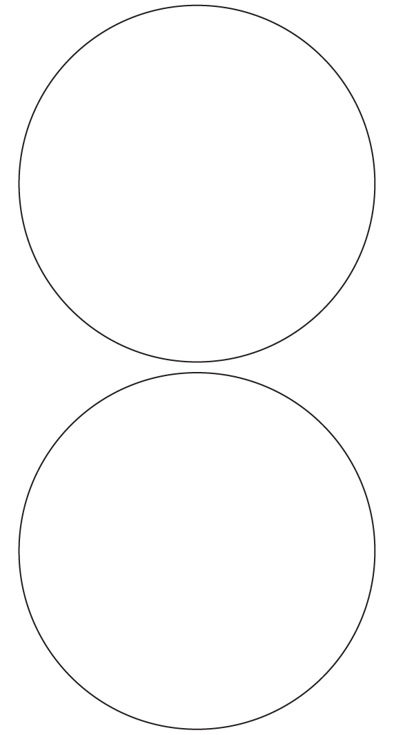 Circle Labels 131mm dia - 520 labels per roll Circle Labels 131mm dia - 520 labels per roll