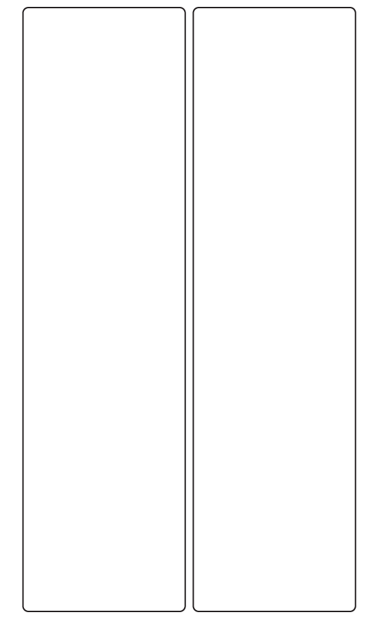 Rectangle Labels 60mm x 223mm - 610 labels per roll