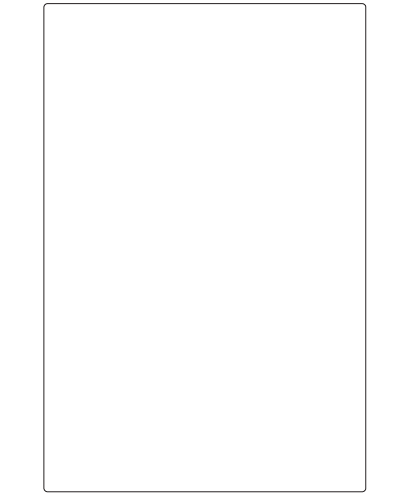 Rectangle Labels 165mm x 250mm - 280 labels per roll