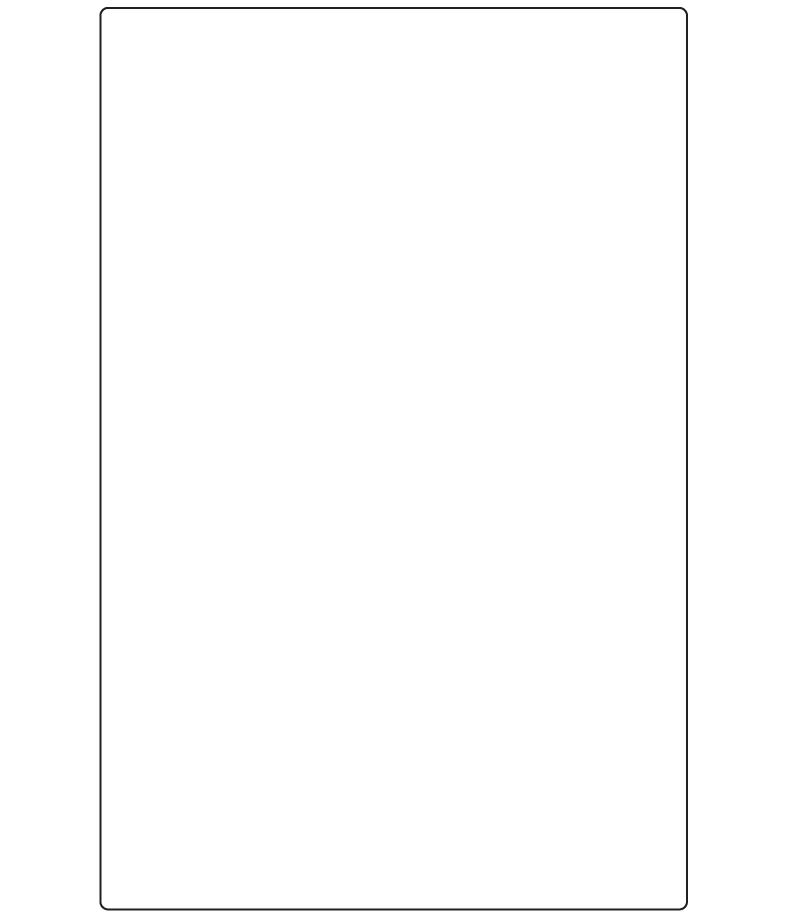 Rectangle Labels 149mm x 229mm - 300 labels per roll