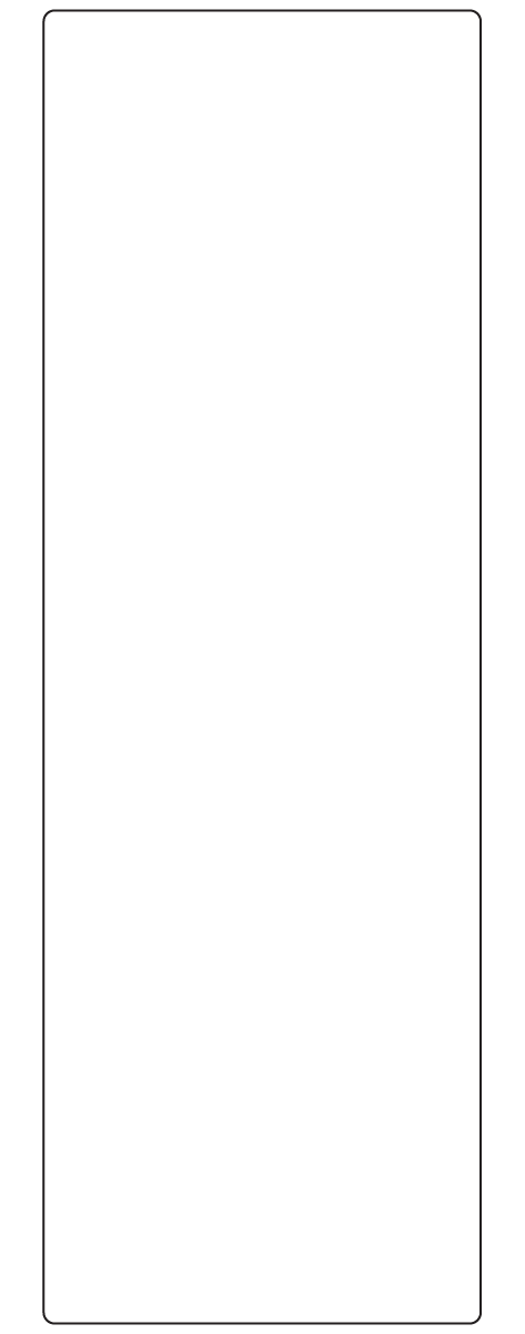 Rectangle Labels 100mm x 300mm - 230 labels per roll