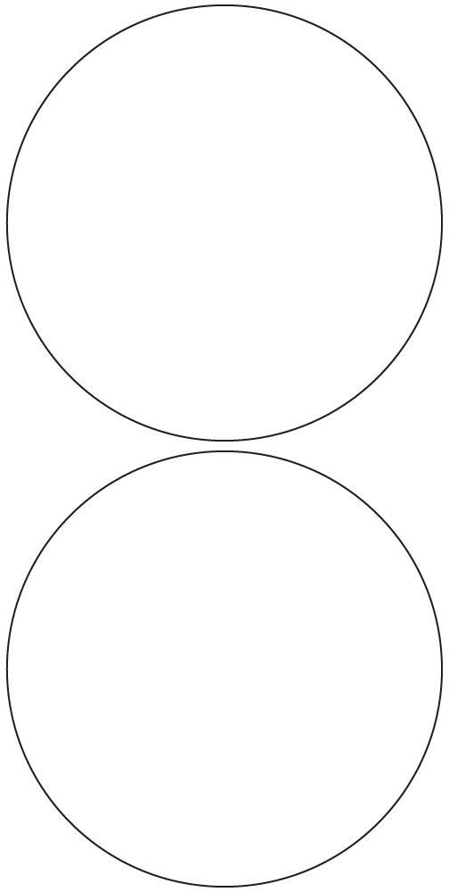 Circle Labels 124mm dia - 550 labels per roll Circle Labels 124mm dia - 550 labels per roll