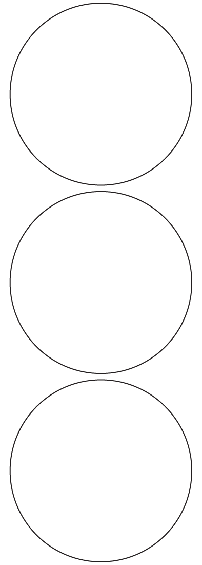 Circle Labels 90mm dia - 750 labels per roll Circle Labels 90mm dia - 750 labels per roll