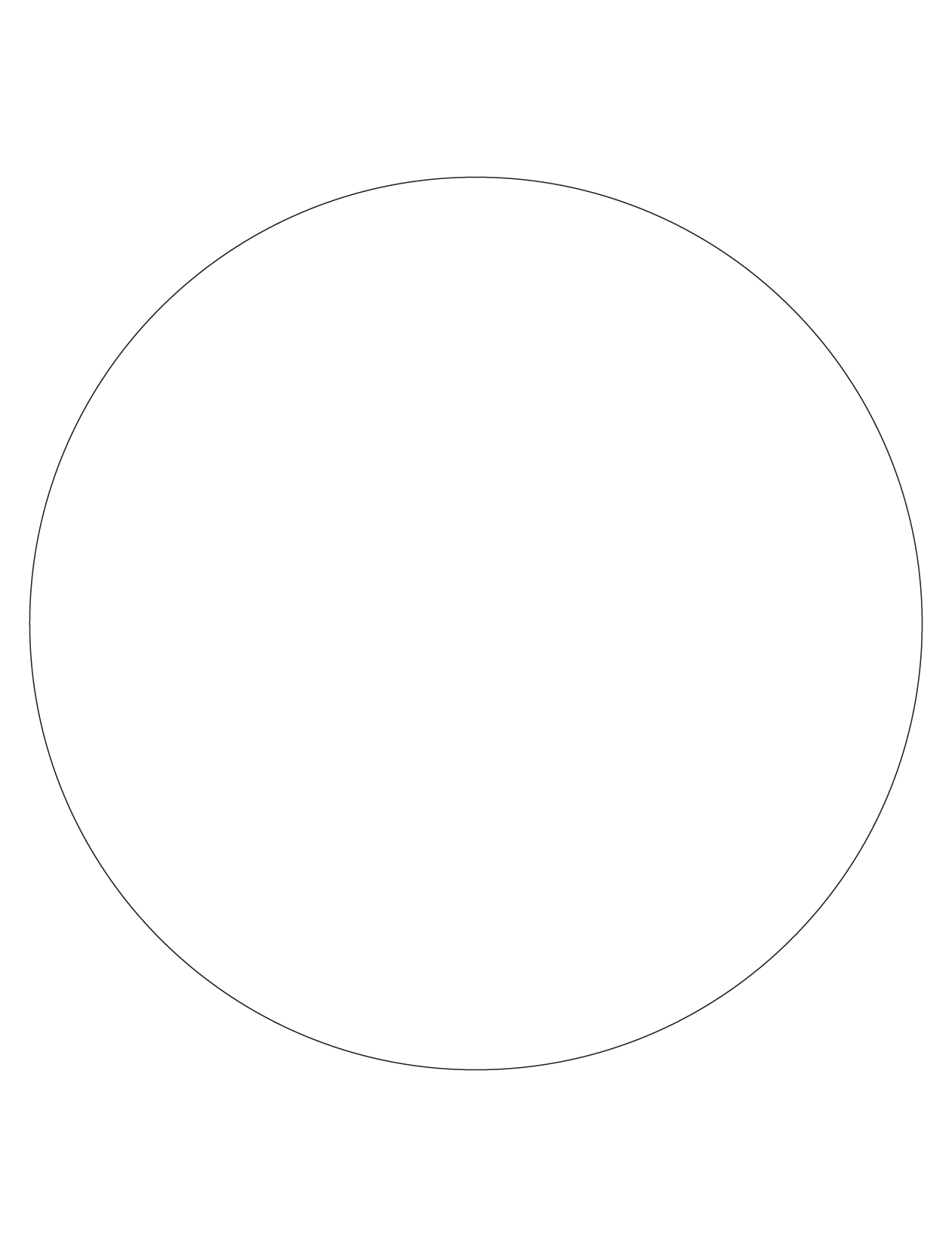 30021 - Label Size 300mm dia - 1 label(s) per sheet