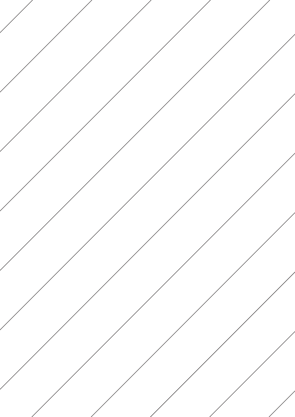 30027 - Backslit - 12 (45° Angle) Slit - Diagonal (60mm apart - Centred)