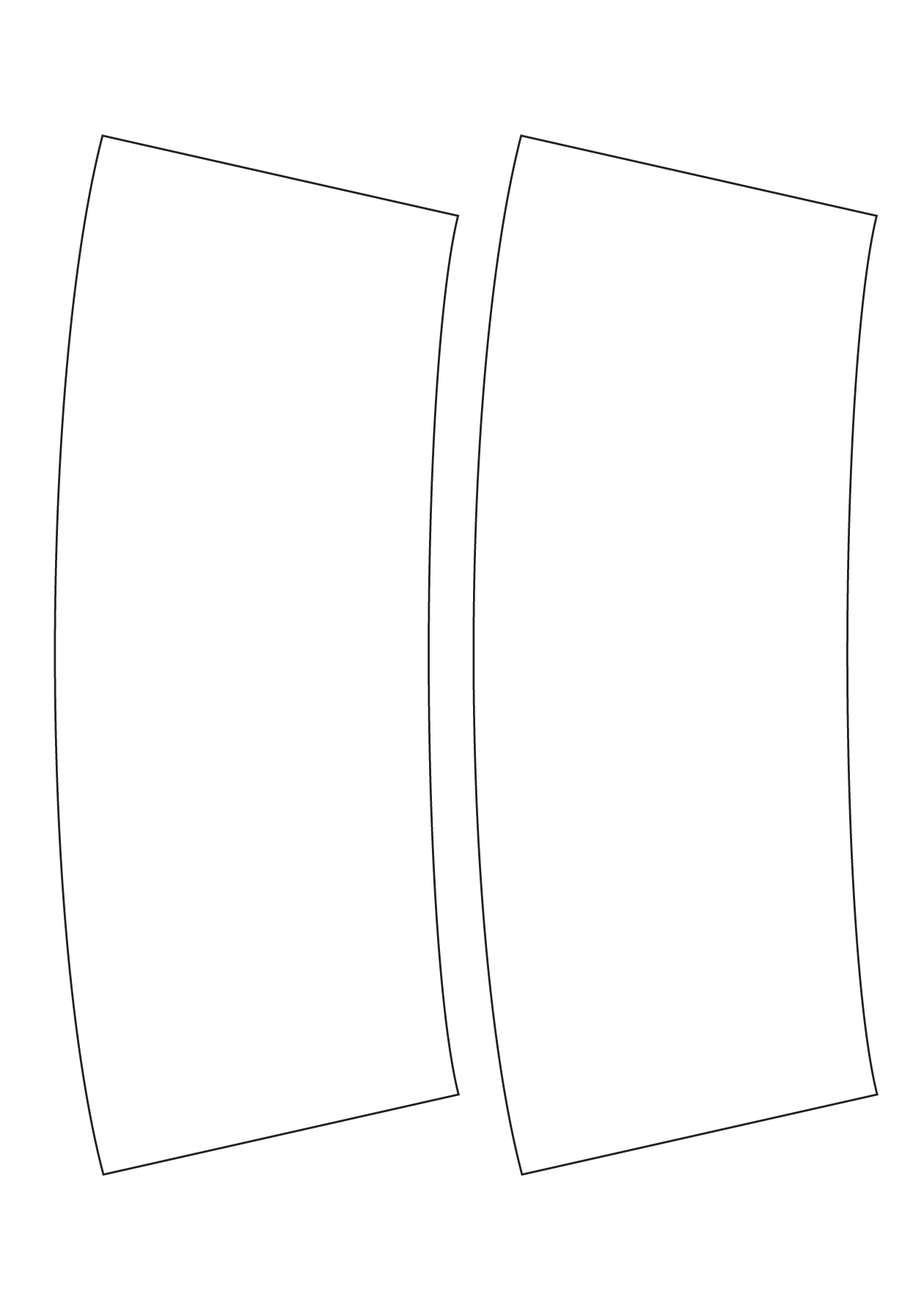 30084 - Label Size 139.698mm x 359.506mm - 2 label(s) per sheet