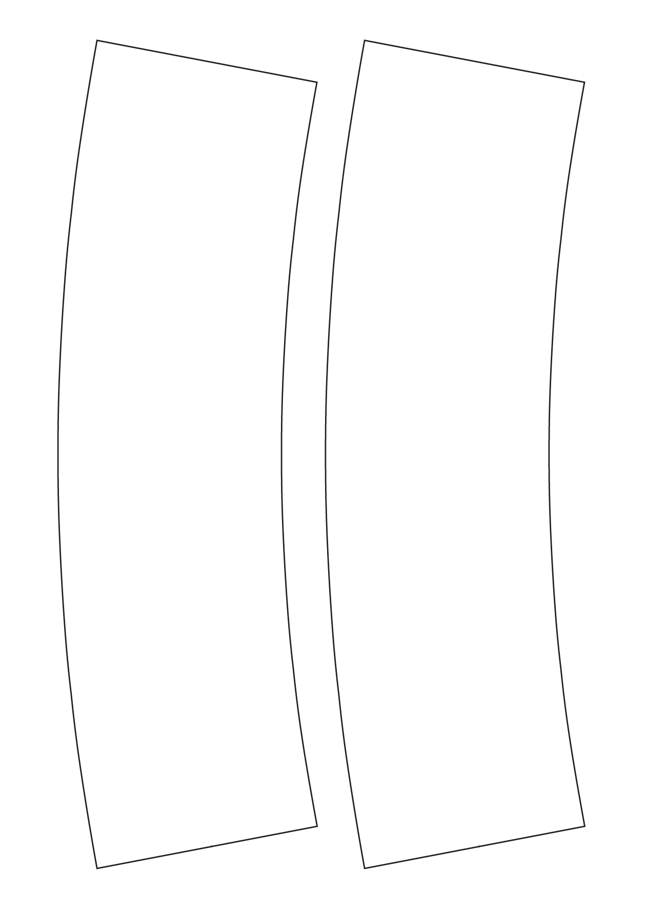 30092 - Label Size 128.317mm x 409.842mm - 2 label(s) per sheet