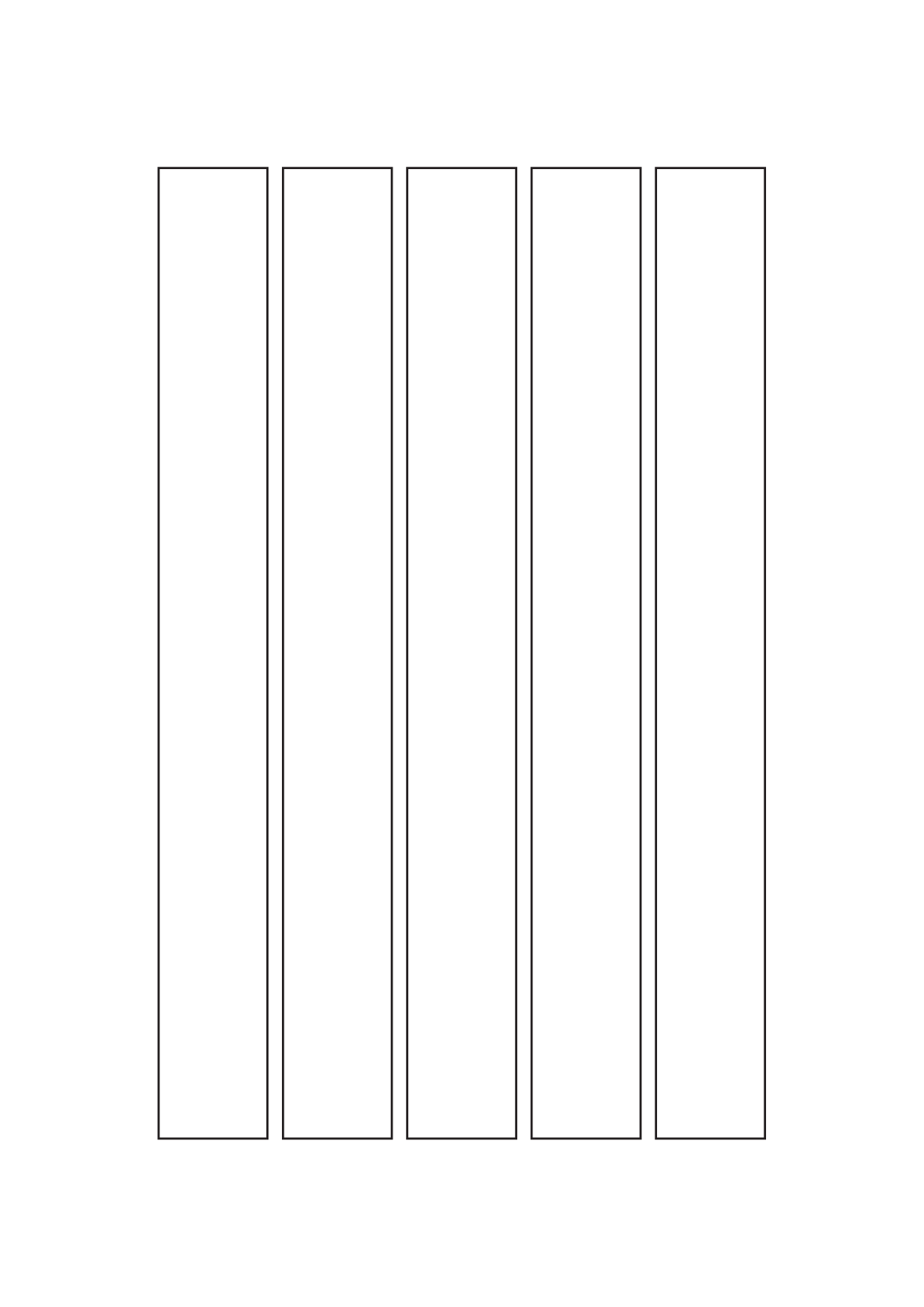 30096 - Label Size 35mm x 312mm - 5 label(s) per sheet