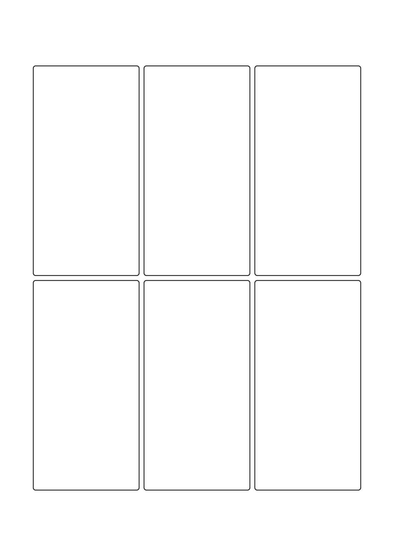 30110 - Label Size 170mm x 86mm - 6 label(s) per sheet